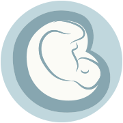 Verloskundigen Velserbroek